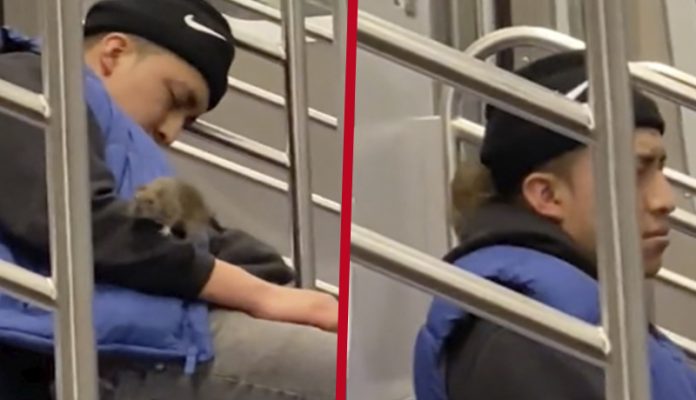 Video: Hombre se queda dormido y se le suben las ratas en el metro de Nueva York