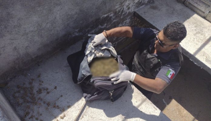 Hallan maleta con marihuan4 en una tumba del panteón de Nocupétaro