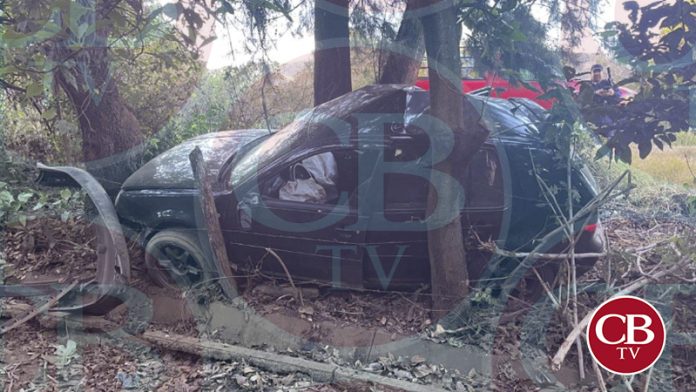 Destruye su auto con un árbol y queda muerto