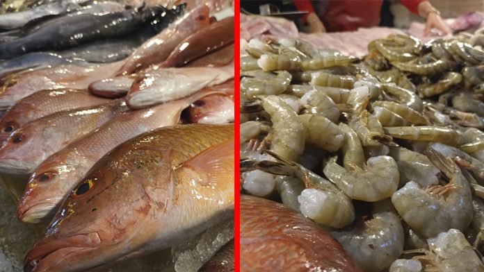 ¡Ya no existe la Cuaresma! Por los suelos las ventas de pescaderías