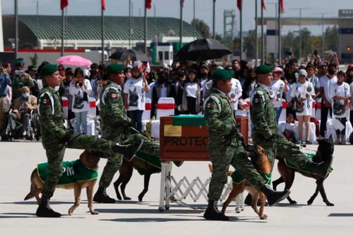 Rinden homenaje a Proteo, perrito rescatista fallecido en Turquía