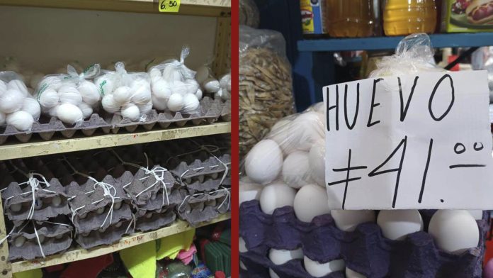 ¡Mejor no compres! Hasta marzo podría bajar el huevo