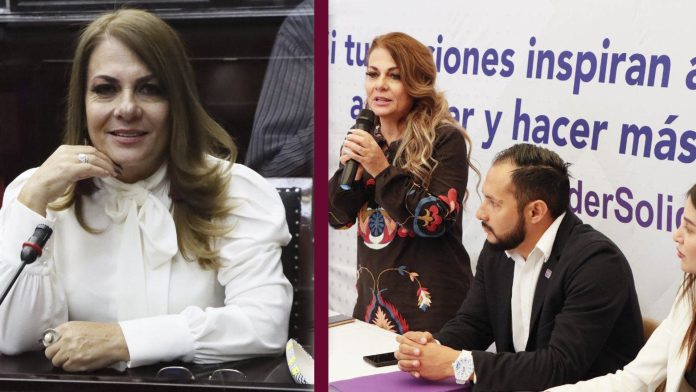 En inclusión, hay mucho por trabajar: Dip. Luz García