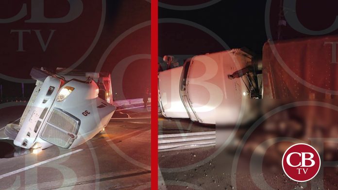 Varias vaquitas muertas deja volcadura en Morelia