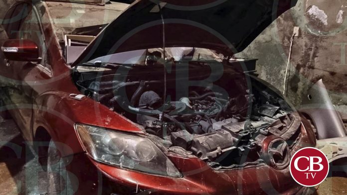 Revientan vivienda y hallan autos robados y plantas de marihuana