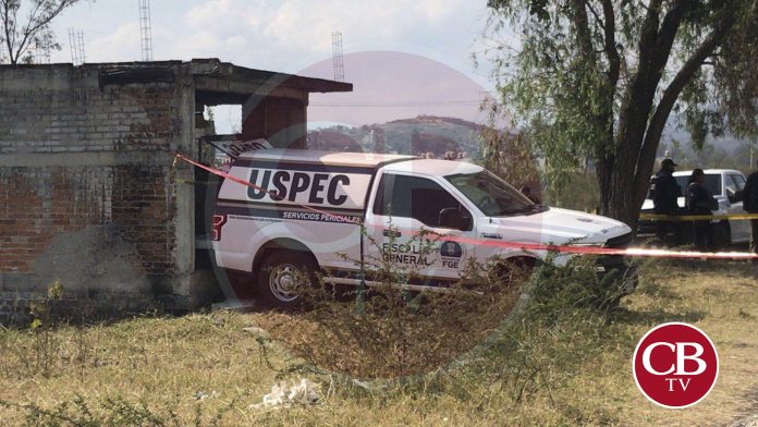 Hallan a una persona degollada al poniente de Morelia