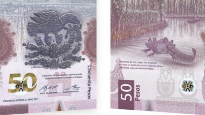Venden billetes de 50 hasta en 350 mil pesos