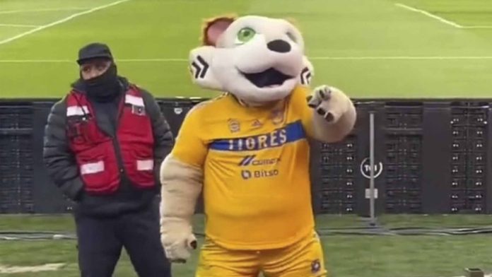 Mascota del Club Tigres fue captada haciendo seña obscena a aficionados de rayados