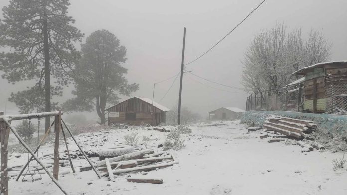 Nevada sorprende en Durango en pleno inicio de la primavera
