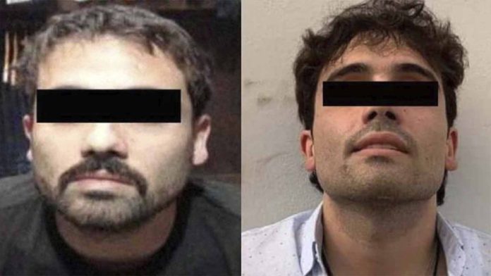 Ovidio Guzmán dice ante el juez que no tiene nada que ver con ‘El Chapo’