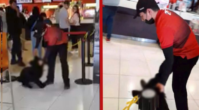 Video: Exhiben a trabajador de Cinemex Morelia por sacar a un perro con violencia