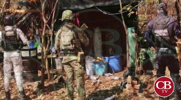 #Michoacán | Se hallaron cinco reactores donde fabricaban la droga. #CBTelevisión https://cbtelevision.com.mx/ssp-y-sedena-desmantelan-un-narcocampamento-en-buenavista/