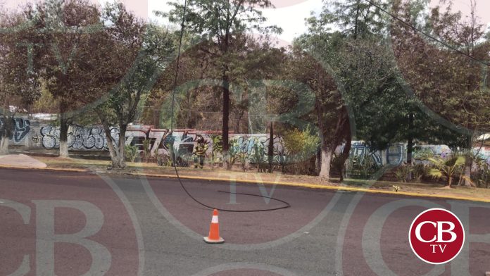 Cable de alta tensión le cae encima a un policía de Morelia