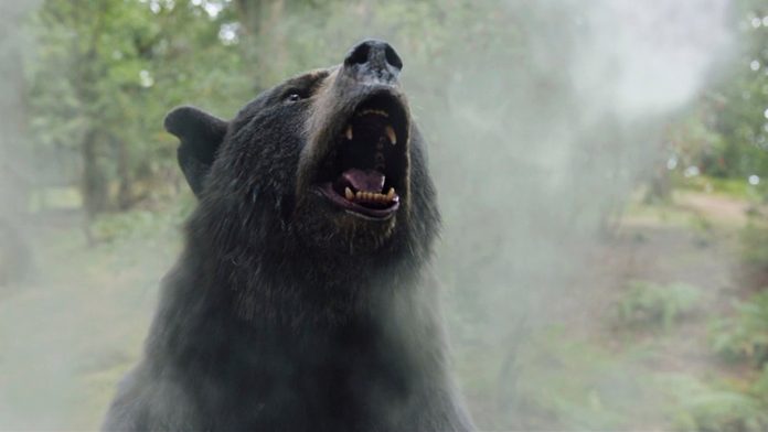 Oso intoxicado: historia REAL que inspiró la película