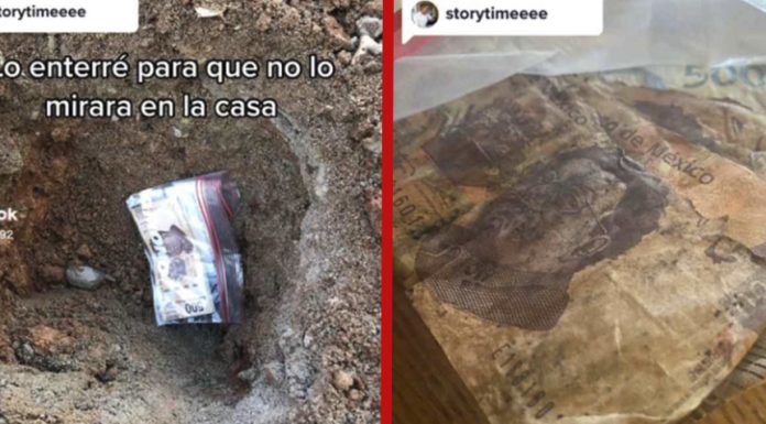 Joven entierra su dinero bajo tierra para ahorrar pero los billetes se pudrieron