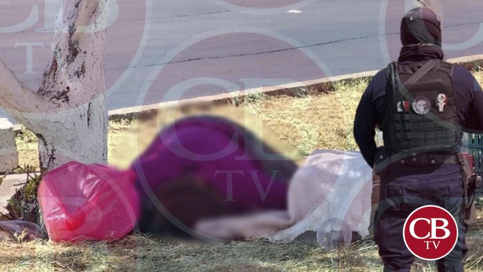 Investiga FGE ataque a una mamá y su hija en Zamora