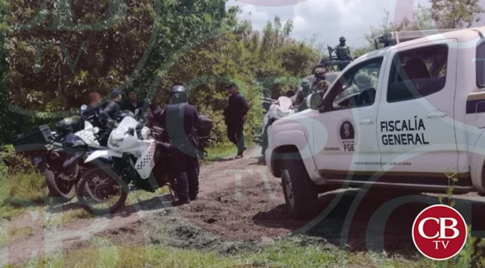 Estaba viva pero por severas lesiones, una de ellas en su ojo