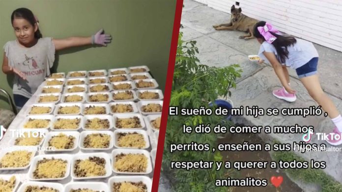 Niña prepara decenas de platos para alimentar a perritos de la calle