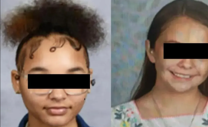 Niñas de 12 y 14 años roban un auto para encontrarse con un desconocido de internet 