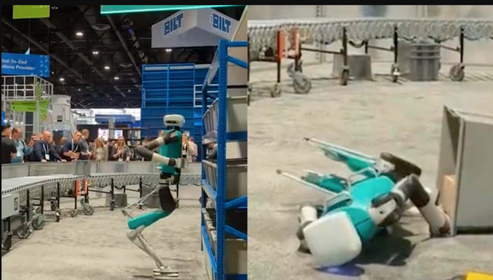 ¡No soportó! Robot colapsa tras trabajar 20 horas seguidas
