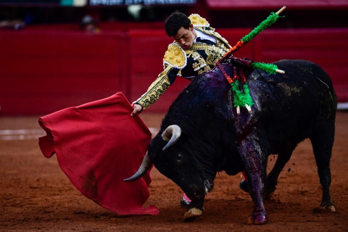 Ordenan suspender corridas de toros en feria de San Cristóbal de las Casas