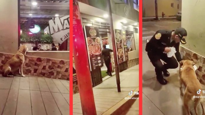 Policía compra comida a perrito callejero que esperaba afuera de una pollería