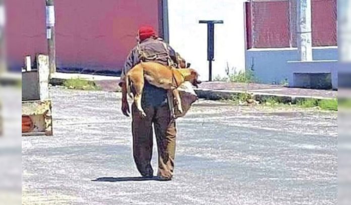 Viral: Abuelito carga a su perrito para que no se queme las patitas con el pavimento