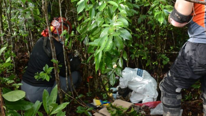 Encuentran restos óseos y cadáver en búsqueda de desaparecidos en Quintana Roo