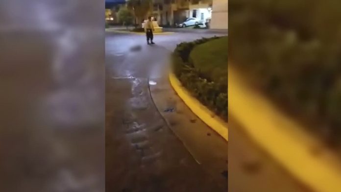 Guardia de seguridad ahorca y mata a perro en Hidalgo