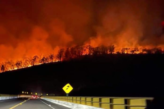 ¡En una semana! 249 zonas afectadas por incendio en Morelia