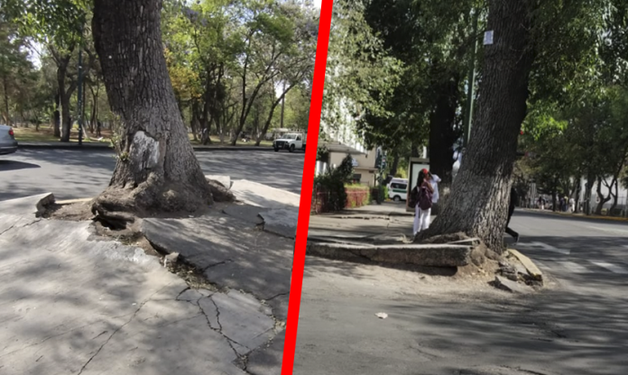 ¿Y aquí cómo se pasa? Urgen rampas para personas discapacitadas en la calle Adolfo Cano