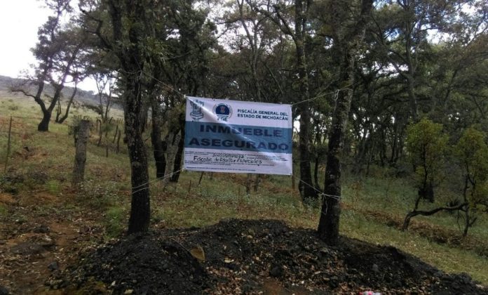Michoacán blindara 3,627 hectáreas que sufrieron presunto cambio de uso de suelo
