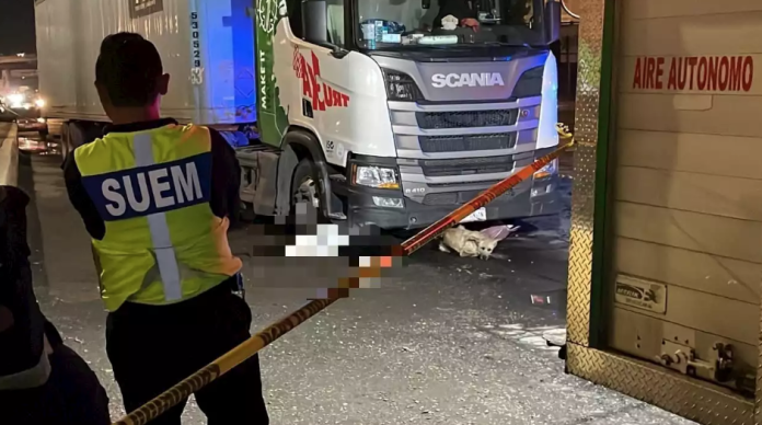 Perrito se niega a abandonar a su dueño tras morir atropellado por un tráiler