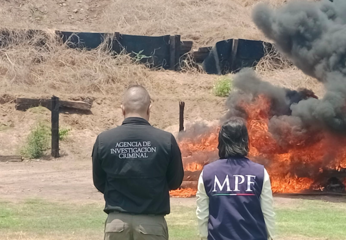 Incineran más de una tonelada de “coca” en Lázaro Cárdenas