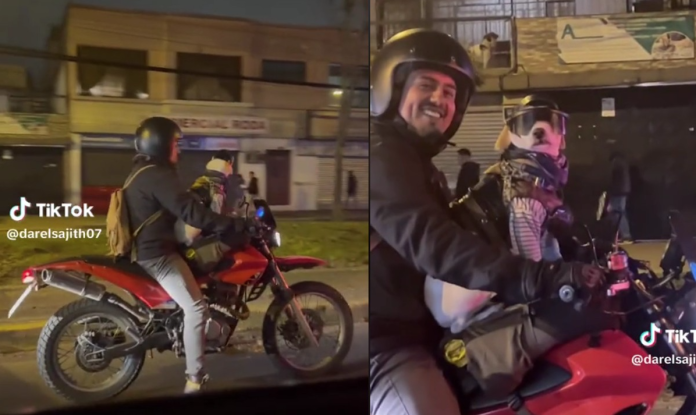 Perro motociclista y su dueño se vuelve viral