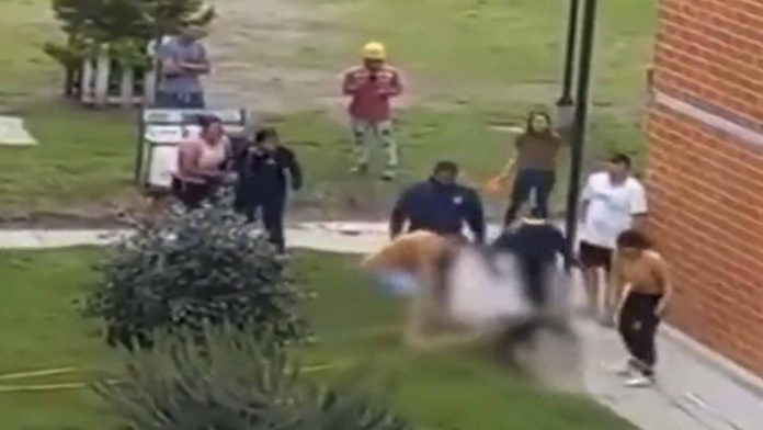 Pitbull atacó a un perro más pequeño; le quitó la vida