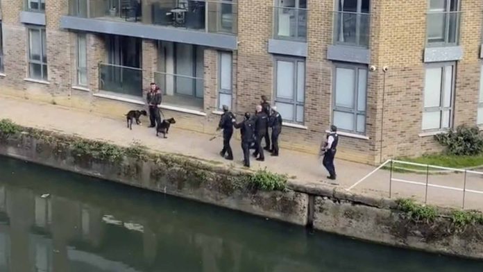 Policías de Londres matan a balazos a dos perros