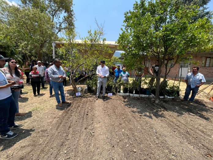 Gobierno de Soluciones impulsa la autosuficiencia alimentaria y sustentabilidad con Huertos de Traspatio