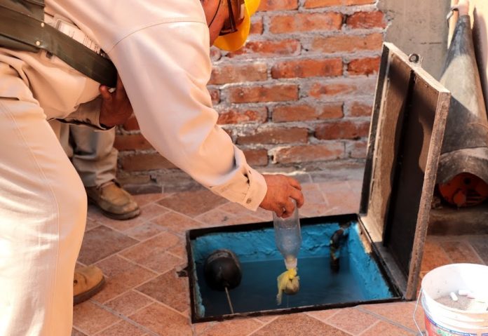 Michoacan, más de 6 años sin casos de zika y chikungunya: SSM