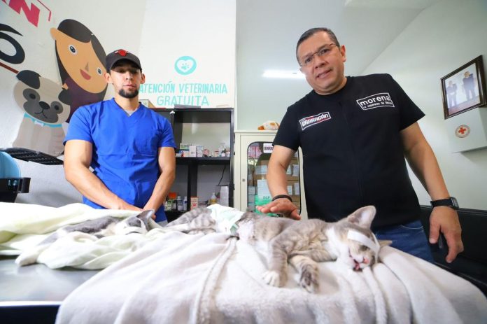 asas de Atención de Juan Carlos Barragán ofrecen consultas veterinarias gratuitas y esterilizaciones a bajo costo