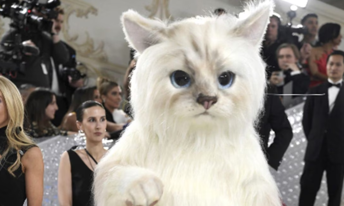 Jared Leto se viste de la gato y triunfa en la alfombra del Met Gala