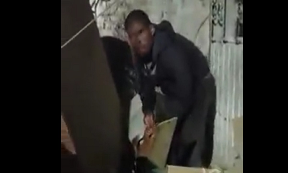 VIDEO FUERTE: Captan a indigente comiéndose un perrito en León, Guanajuato VIDEO FUERTE: Captan a indigente comiéndose un perrito en León, Guanajuato