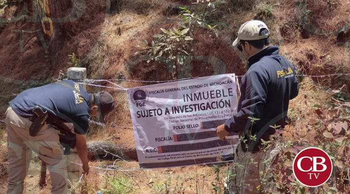 En cateo, asegura FGE predio relacionado en delitos contra el ambiente con fines de plantación de aguacate