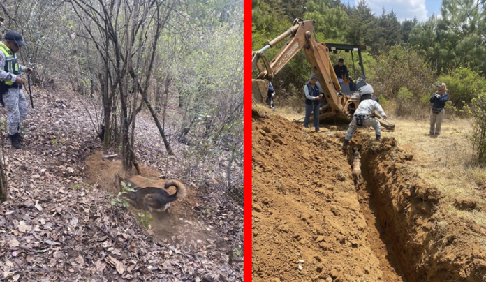 Buscan a familiares desaparecidos y piden apoyo de materiales