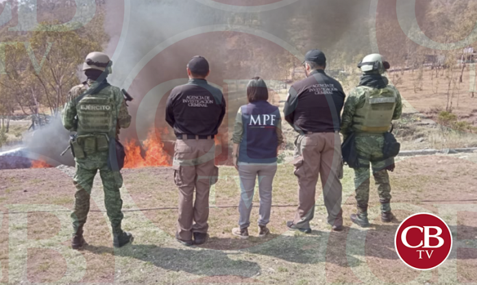 ncineran más de 800 kilos de narcóticos en Michoacán