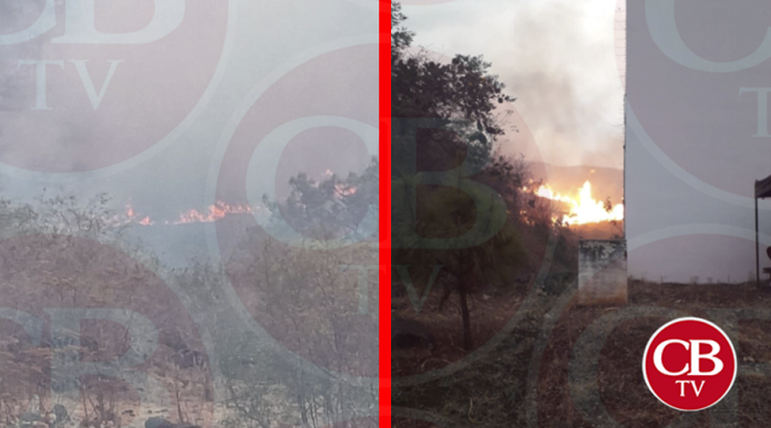 Peligra Tecnológico de Los Reyes por fuerte incendio