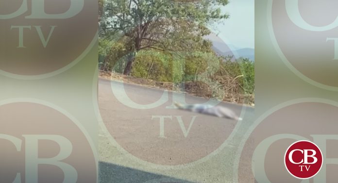 Debajo de un puente, encuentran cadáver de mujer en Apatzingán