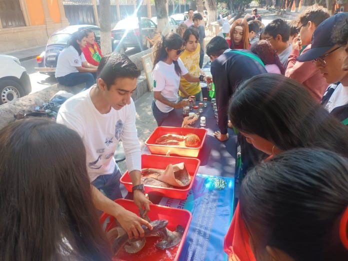Se desarrolla Feria del Medio Ambiente en Morelia, abierto a todo el público