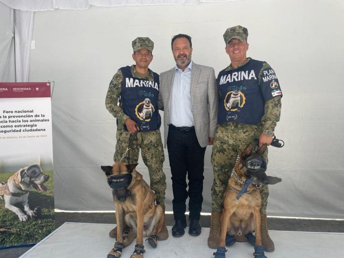 Asiste alcalde de Pátzcuaro a foro de Prevención de la Violencia hacia los Animales como Estrategia de Seguridad Ciudadana