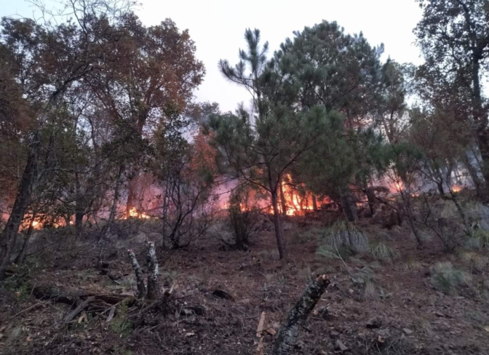 Incendio en el Cerro Grande de Patamban